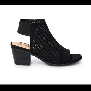 *NWT* Sonoma Goods For Life Hostel Women's Ankle Boots